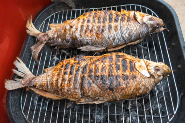 BBQ FISH